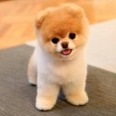 สมาชิกหมายเลข 886643