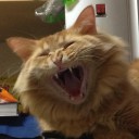 สมาชิกหมายเลข 886879