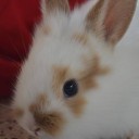 สมาชิกหมายเลข 1284400