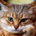 สมาชิกหมายเลข 854213