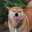 สมาชิกหมายเลข 2363448