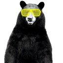 สมาชิกหมายเลข 1464644