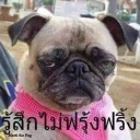 สมาชิกหมายเลข 2854198