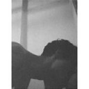 สมาชิกหมายเลข 3367139