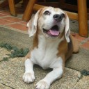 สมาชิกหมายเลข 779149