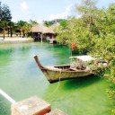 แพนด้า_โคล่า