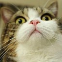 สมาชิกหมายเลข 707265