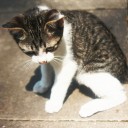 สมาชิกหมายเลข 887830