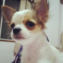 สมาชิกหมายเลข 1285414