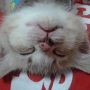 สมาชิกหมายเลข 1484397