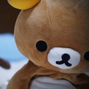 สมาชิกหมายเลข 1018015