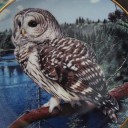 สมาชิกหมายเลข 2524847