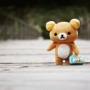 สมาชิกหมายเลข 2524983