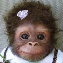 สมาชิกหมายเลข 1408304