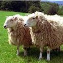 สมาชิกหมายเลข 1534822