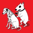 สมาชิกหมายเลข 803126