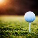 สมาชิกหมายเลข 801878