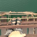 เป้ใบเดียว