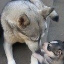 สมาชิกหมายเลข 876270