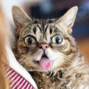 สมาชิกหมายเลข 3369186