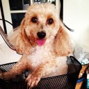 สมาชิกหมายเลข 801049