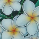 สมาชิกหมายเลข 888309