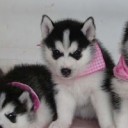 สมาชิกหมายเลข 1739028