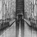 สมาชิกหมายเลข 2525853