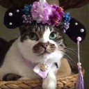 สมาชิกหมายเลข 743806