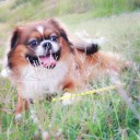 สมาชิกหมายเลข 1287373