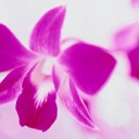 สมาชิกหมายเลข 797491