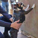 สมาชิกหมายเลข 1715122