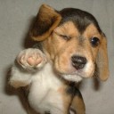 สมาชิกหมายเลข 1437212