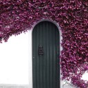 สมาชิกหมายเลข 2134201