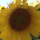 สมาชิกหมายเลข 2928635