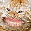 สมาชิกหมายเลข 1288271