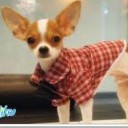 สมาชิกหมายเลข 2527547