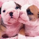 รักครั้งใหม่