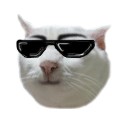 สมาชิกหมายเลข 1288740