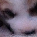 สมาชิกหมายเลข 2929454