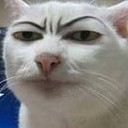 สมาชิกหมายเลข 1216993