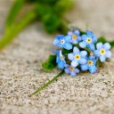 สมาชิกหมายเลข 2929199