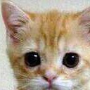 สมาชิกหมายเลข 2929872