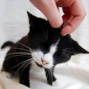 สมาชิกหมายเลข 891494