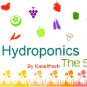 พี่หมีพี่หมี