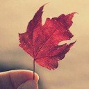 สมาชิกหมายเลข 2135596