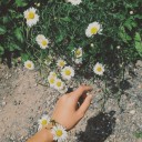 สมาชิกหมายเลข 2528783