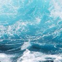 สมาชิกหมายเลข 835952