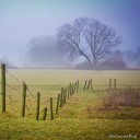 สมาชิกหมายเลข 890937