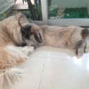 สมาชิกหมายเลข 891834